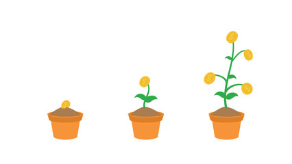 Fototapeta premium money plant growth vector illustration. suitable for business and presentations