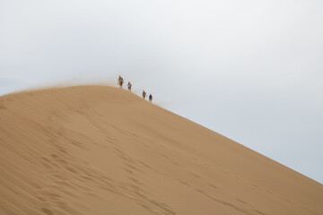Fototapeta na wymiar sand dunes in the desert people walk in the desert people walk along the dune sand