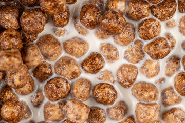 sweet and healthy chocolate balls with cow's milk
