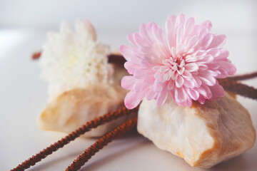 Template, marble podium with stone and flower, dry flowers, empty space. Ikebana