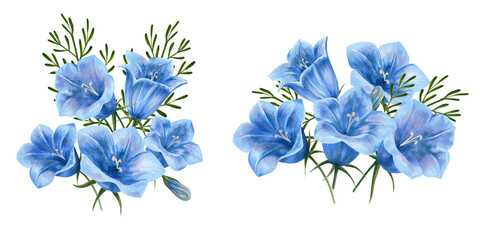 Illustration painted in watercolor. Bluebell flowers set. Isolated on a white background. Application for postcards, invitations