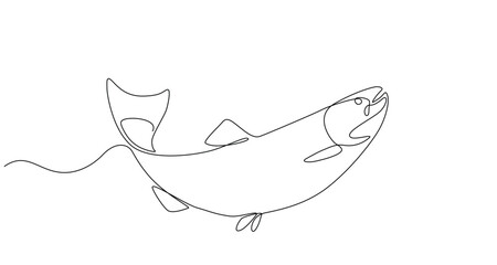 fresh salmon fish in continuous line art drawing style. Single line sketch of salmon fish in doodle style on white background. Vector illustration