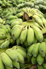 Group of organic green raw Ducasse Banana