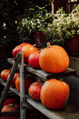 K&uuml;rbis Verkaufsstand