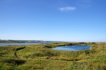 Hâble D'Ault, the nature reserve in the Picardy coast