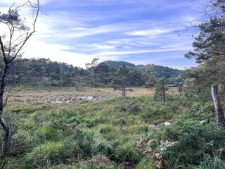 Beautiful scenery and hiking trials in  Kanadaskogen Bergen Norway