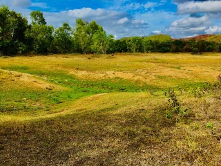 field and blue sky