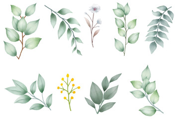 Set of leaves watercolor elements 