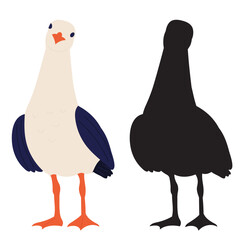 seagull on white background vector