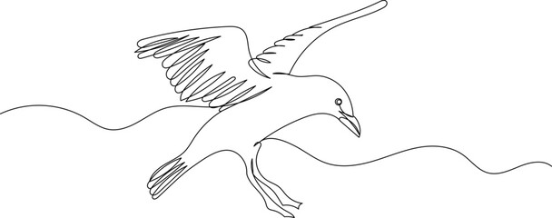 flying seagull continuous line drawing, sketch on white background vector