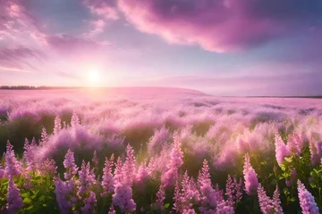 Foto op Canvas clouds over pink lavender field  © Black Bunny