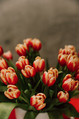 Tulpen Strau&szlig;