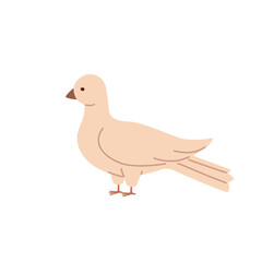 Standing dove. Hand drawn vector illustration of bird in pastel colors.