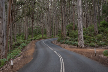 Forest Road