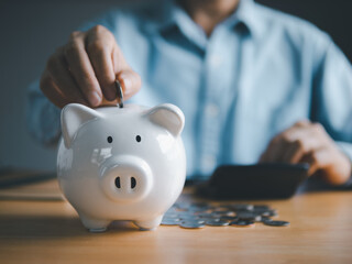 Piggy Bank and Hand with Money - Professional Finance Concept