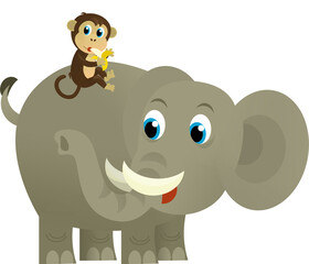 Obraz premium Cartoon wild animal happy young elephant on white background - illustration for the children