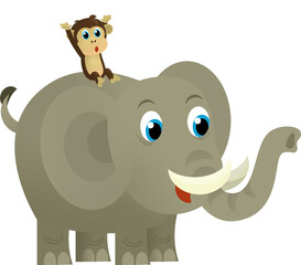 Cartoon wild animal happy young elephant on white background - illustration for the children