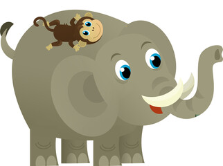Cartoon wild animal happy young elephant on white background - illustration for the children