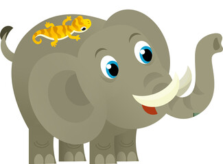 Cartoon wild animal happy young elephant on white background - illustration for the children