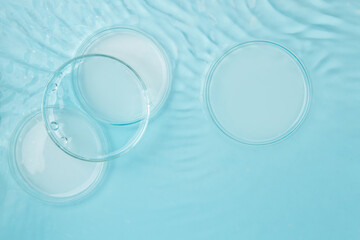 Set of laboratory utensils empty Petri dish, flasks, jars on the background of blue water