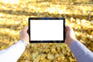 Man in pakr hold digital tablet pc with blank screen in park against yellow leaves background closeup. Autumn sales concept