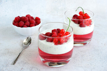healthy dessert in drinking glasses with jelly, yogurt, raspberry and red currant close up