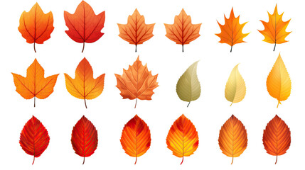 Obraz premium Collection of autumn leaves isolated on transparent or white background