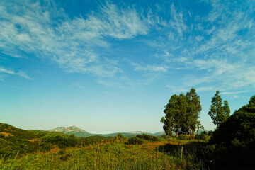 Monte Albo Baronie, Siniscola.  Provincia di Nuoro, Sardegna. Italy
