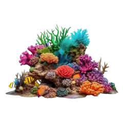 Foto op Canvas small coral reef isolated on transparent background © PNG