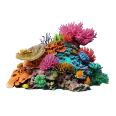 Foto op Plexiglas coral reef isolated on transparent background cutout © PNG