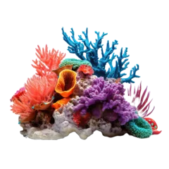 Fotobehang coral reef isolated PNG on transparent background cutout © PNG