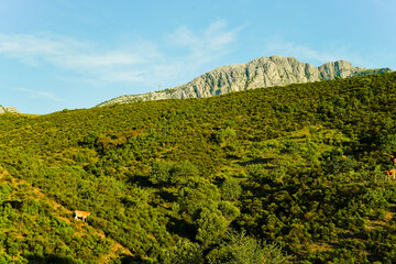 Obraz premium Monte Albo Baronie, Siniscola. Provincia di Nuoro, Sardegna. Italy