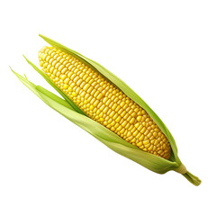 Ear of corn, corn cob isolated on transparent or white background