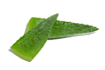 Two leaves of green fresh aloe vera. On a blank background. PNG