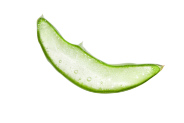 Slice, a piece of green fresh aloe vera. On a blank background. PNG