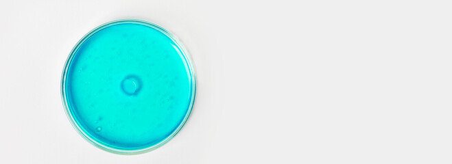 Petri dish on a light background. With blue or blue liquid. Water stains, oil drops. Large bacterium or virus. in the middle. Egg. Laboratory glassware. study. Chemical elements.