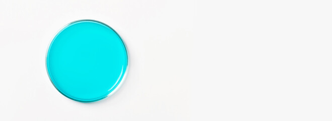 Petri dish with blue, blue liquid. On a white, light background. View from above.