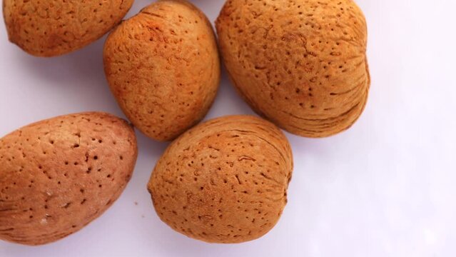 apricot kernel , rotation in circle. dried apricot kernels with nut ,Turning. selective focus.	