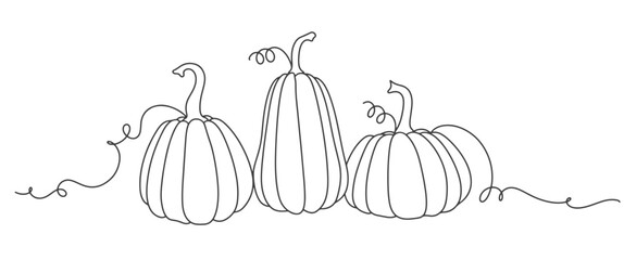 Pumpkin in line art drawing style. Minimalist black line sketch isolated on white background. Vector illustration