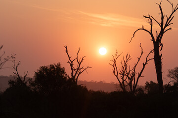 Naklejka premium South African Sunset