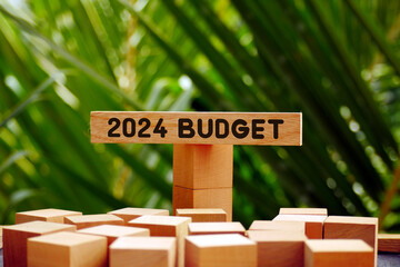 2024 budget text on wooden block with nature concept background. Budgeting concept.