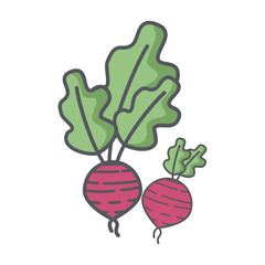 Beets Healthy Vegetable Vegetarian Ingredients