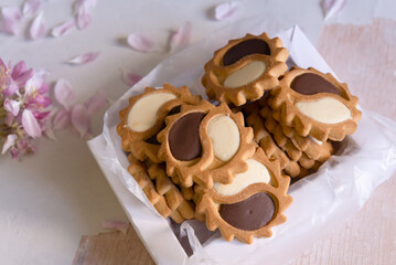 Cookies with white and dark chocolate icing