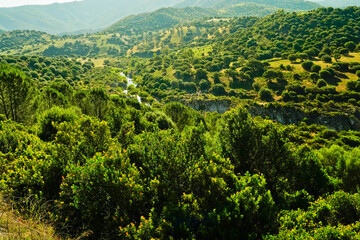 Naklejka premium Panorama tipico del Supramonte sardo. Provincia di Nuoro, Sardegna. Italy