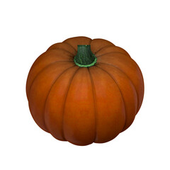 호박 Pumpkin