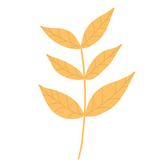 Autumn Leaves Illustration