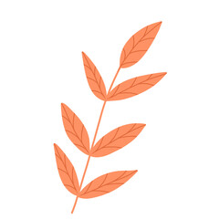 Autumn Leaves Illustration