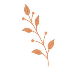 Autumn Leaves Illustration