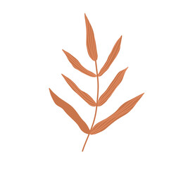 Autumn Leaves Illustration