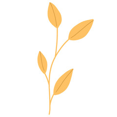 Autumn Leaves Illustration